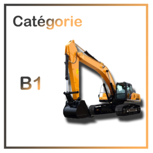 R482_Pelle_cat_B1